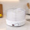 Oypla Oypla Food Dehydrator Machine Adjustable Thermostat Fruit Vegetable Dryer 14