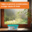 Disposable Moisture Absorbent Dehumidifier 300ml 6