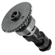 Riparazione Motore: Gruppo Albero A Camme per Rancher TRX420 TRX420FPA TRX420TE 420 CC 2014-2024 14100-HR3-A60