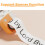Pocket Printer  Portable Label Printer for Labeling Jars Bins Organizing Office USB Rechargeable Easy to Use 6