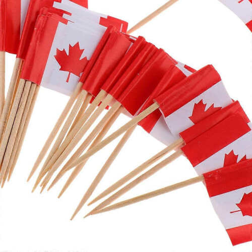 100 Pieces Decorative Flag Toothpicks Party Food Decorations Canada 2