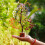 Tree Gift Crystal Tree Stone and Crystal Money Tree Healing Crystal Height 28cm, Width 18cm 3