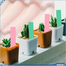 Étiquettes pour plantes - V GEBY - PVC - Rose, Vert, Bleu, Rouge - 10 x 2 cm - Imperméables