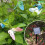 String lights - OUTAD - Butterfly - 12 LEDs - Solar powered - 3.8 m - Multicoloured 3