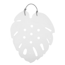 1Plaque Murale Plante En Transparente Pour Fougère DIY Décor