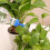 GIGICIAL Watering Nozzle - Multicolored - Water Saving - Easy Installation - 3 Pieces 5