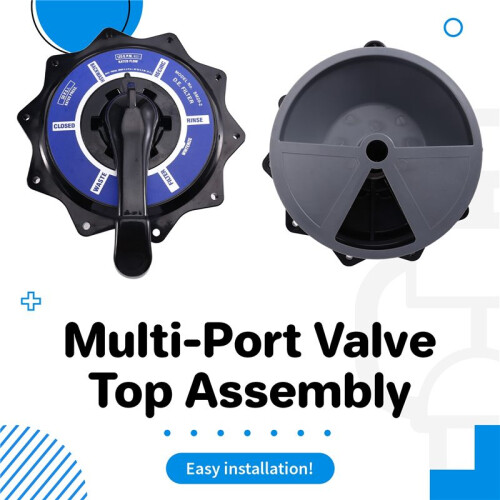 R0443900 2-Inch Multi-Port Valve Top Assembly Replacement Kit for  Jandy Multiport Side Mount Backwash Valves 1
