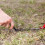 Fixing Stakes - 100 PCS - PVC - Grey - Reusable and UV Resistant 1