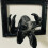 Halloween 3D Witch Hand Wall Hook, Coat Rack, Home Wall Decoration 4