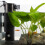 Aquarium filter - Turtle - Low water level filter - Natural circulation - Easy to install 3
