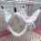 Cage hammock - Not specified - 34 x 34 cm - Pink - Lined - For rodents 2