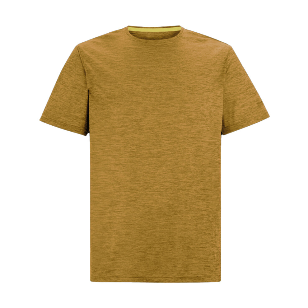 Regatta (S, Wood ) Mens Fingal Edition Marl T-Shirt Brown
