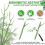 Support pour plantes - YYV - 100 cm - Vert - Plastique - Universel 2
