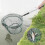 Telescopic landing net - Safe Catch - Folding handle - Stainless steel - Adjustable length 2