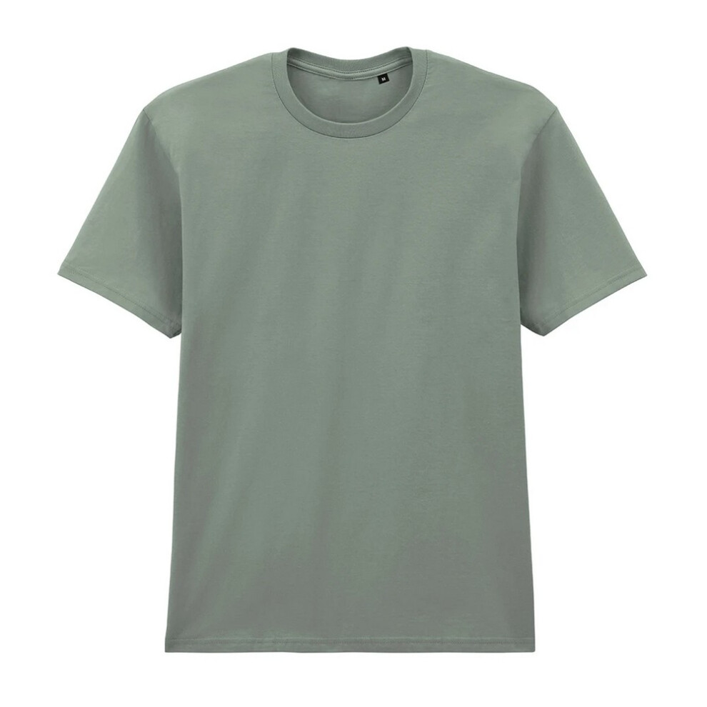 Gildan (Xl, Sage) Mens Softstyle Enzyme Washed Midweight T-Shirt Green,Multicoloured