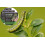 Fruit and vegetable protector Nemasys Caterpillar Killer 5