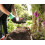 Spear & Jackson Nemasys Biological Vine Weevil Killer 12sqm 4