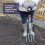 Spear & Jackson Spear & Jackson 1680NB Neverbend Carbon Digging Fork 3