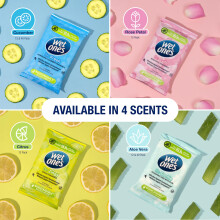 WET ONES - Be Cute, Plastic Free Anti-bacterial Bio-degradable Hand Wipes, 144 Total - 12 packs of 12 wipes