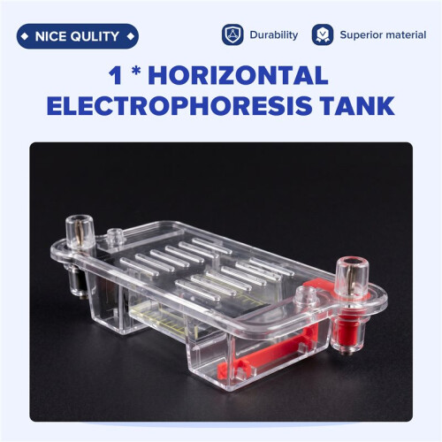 Horizontal Electrophoresis Tank Gel Experiment Biological Teaching Experimental Instrument Experimental Teaching Tool 1