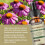 Lymphatic Drainage Drops, Water Detox, Water Balance Support, 5