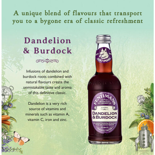 Fentimans Dandelion and Burdock - Botanically Brewed Soft Drink - 1