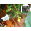Fruit and vegetable protector Nemasys Caterpillar Killer 2