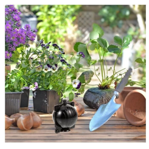 10 boules de greffage pour la multiplication par bouturage, yd 2