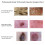 Microscope Numérique Portable Sans Fil, Microscope USB HD avec Caméra WiFi 0X-200X 2