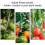 200PCS Tomato Support Hooks, Support Clips, Garden Tomato Hooks, Flowers, Vegetables 2