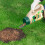 Miracle-Gro Miracle-Gro Patch Magic Grass Seed, Feed and Coir, 1015 g, Green 3