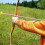 6Pièces Flèches À Ventouse Rose Archery Pour Enfants 8