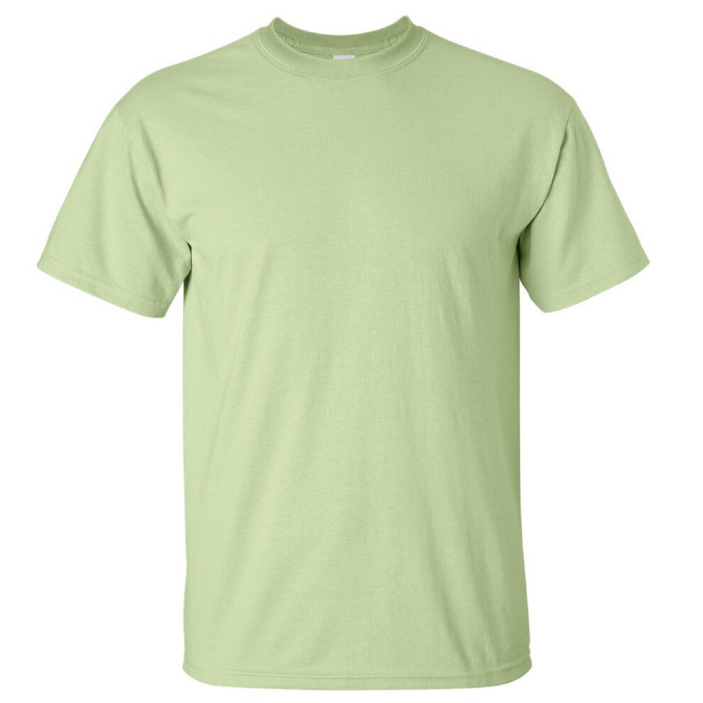 Gildan (3Xl, Pistachio) Mens Ultra Cotton Short Sleeve T-Shirt Multicoloured