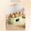 Portable  Multifunctional Egg with Timer Auto Shut Off Egg Steamer for Breakfast Egg Maker 6 Eggs EU Plug 6