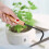 Natural Beech Bonsai Root Hook Iron 5