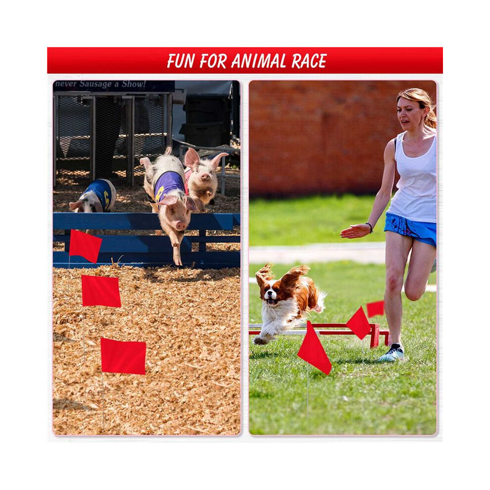 100Pack Marking Flags, Red Yard Flags 15X4x5inch, Flags, Lawn Flags Markers, Irrigation Flags, Landscape Flags 6031771444797
