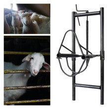 Adjustable Sheep Holder for Easy Use in Livestock Supplies, Versatile