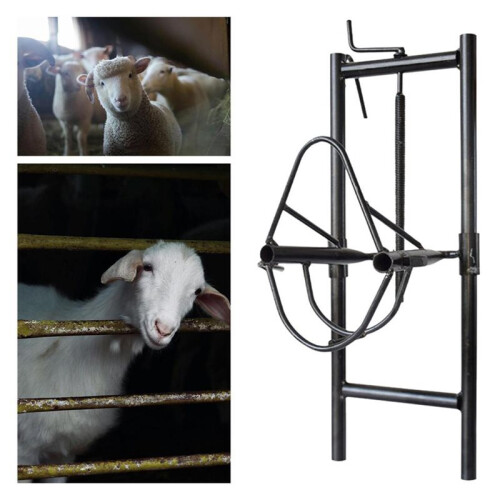 Adjustable Sheep  Holder for Easy Use in Livestock Supplies, Versatile