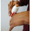 Safety First Aid Group HypaSoothe Emergency Burn Gel 50g 2
