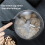 Multifunctional Electric Coffee Grinder for Home Kitchen Use US Plug 1