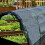 Garden Netting 2.4m x 4m 10