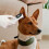 USB Rechargeable Pet Ear Thermometer in ABS, Waterproof, Accurate and Easy to Use, Portable 3