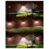 Advanced Solar Motion Sensor Lights, LEDs, 270 Wide Angle, Waterproof, for Outdoor Security 3