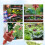 100PCS 2GPH Pressure Compensating Drip Irrigation Spot Watering Drippers/Emitters, for Drip Irrigation System 3