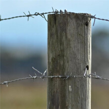 500 Pcs Wire Staples, Fence Stapless, Steel U Nails for Fencing, U Shaped Wire Nails, Galvanized Barbed W