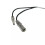 Shift Interrupter Micro- for  3.0L, 4.3L, 5.0L, 5.7L, 87-814281A5 6
