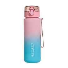 1000 Ml Wasserflasche mit Mattiertem Farbverlauf, Tragbare Sportflasche mit Einhand-Klappdeckel, Rosa-Blau