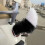 Fluffy Remote Control Electric Bicycle Tail Realistic Versatile Car Wagging Moving Tail Self-Adhesive Rechargeable 6