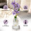 Scent-Hi Reed Diffuser 200ml Fragrance Reed Diffusers, Aromatherapy Diffuser Set with 6 Fiber Sticks, Long Lasting Home Indoor Fragrance Reed Diffuse 2