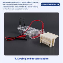 Horizontale Elektroforesetank Gelexperiment Biologisch Onderwijs Experimenteel Instrument Experimenteel Onderwijsinstrument